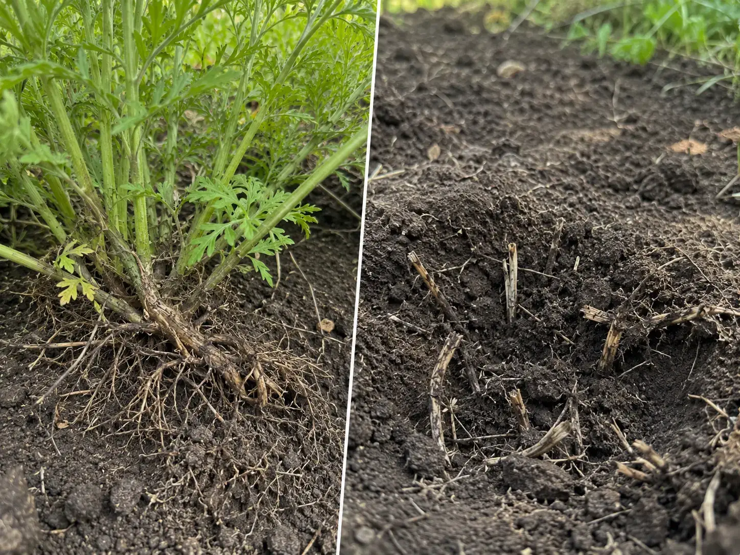 Відсіч